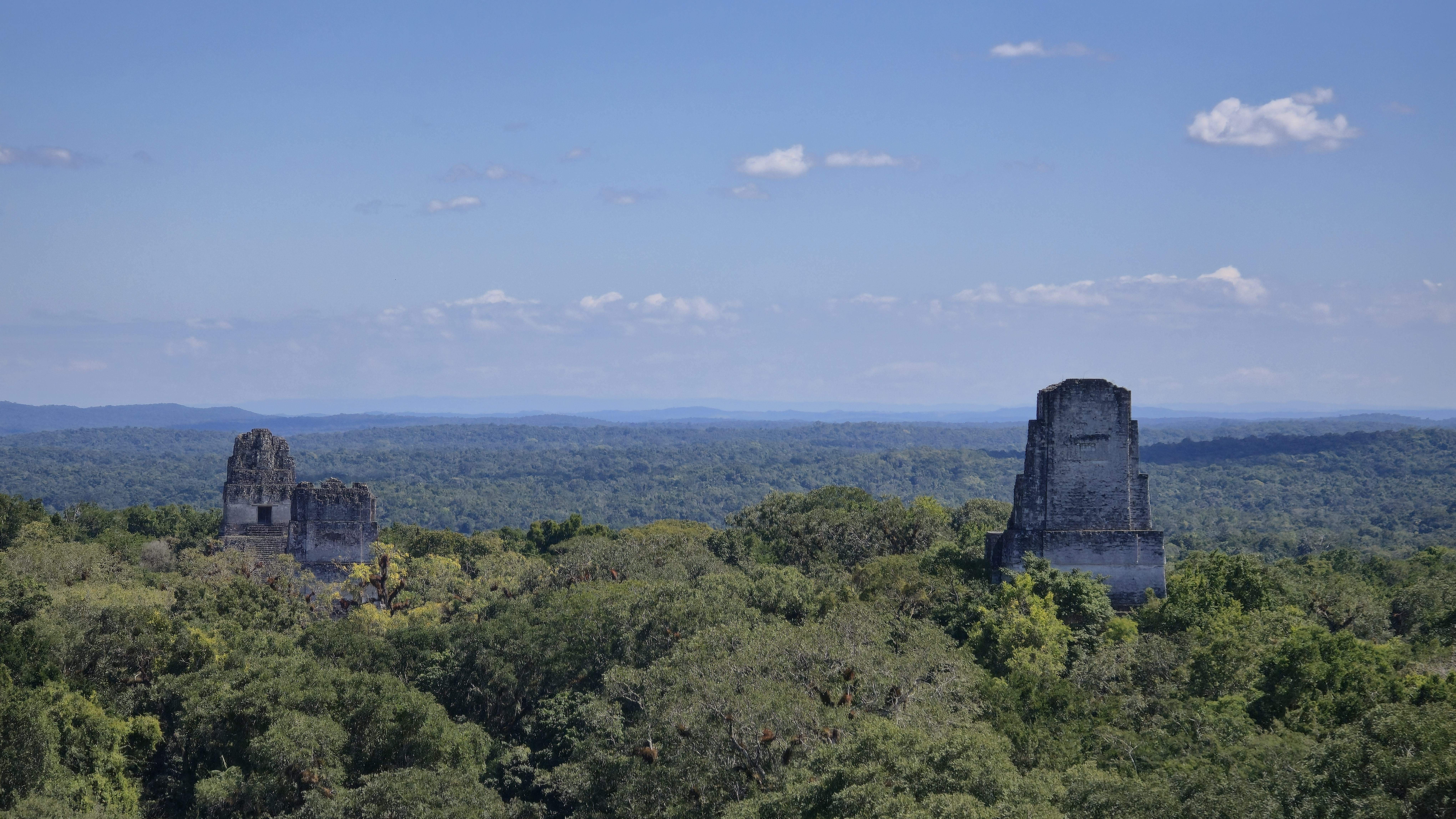 Tikal Clásico 3